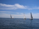 IMG_0031 (Large)